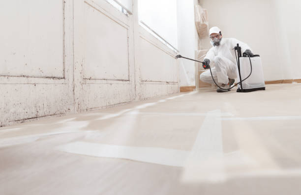 24/7 Emergency Mold Inspection experts in Haledon, NJ