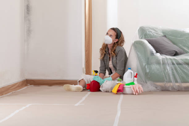 Trusted Mold Inspection service in Haledon, NJ - WQB Mold Removal